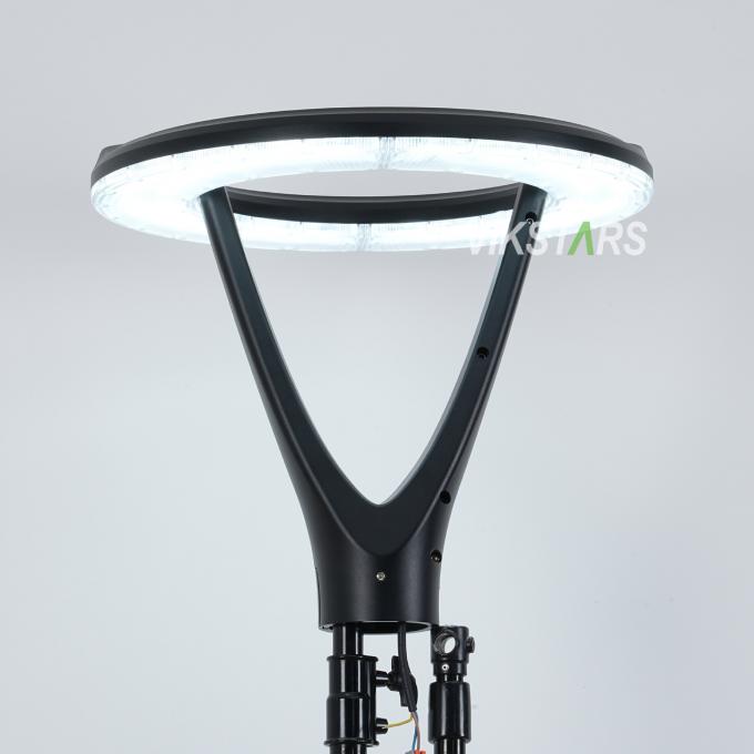 100W New Garden Lights 2 Years Warranty 100lm/w Cheap Price For Wholesale 9
