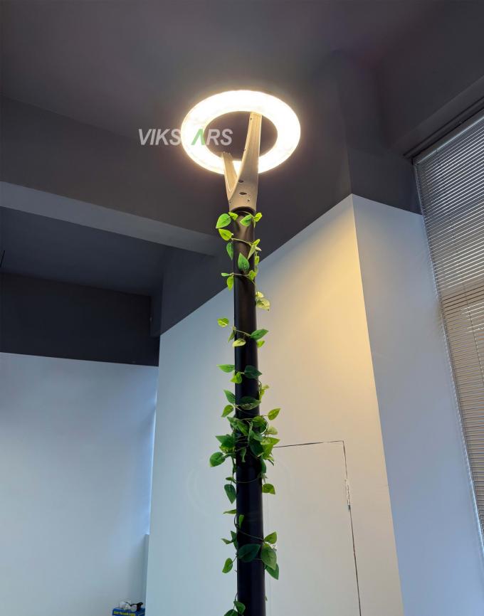 100W New Garden Lights 2 Years Warranty 100lm/w Cheap Price For Wholesale 10