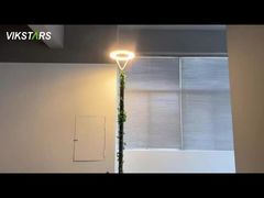 newest led garden lights 100w 3000K 4000K 6500K